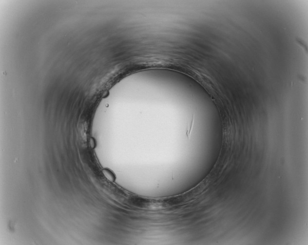 X0000103300264200808291137