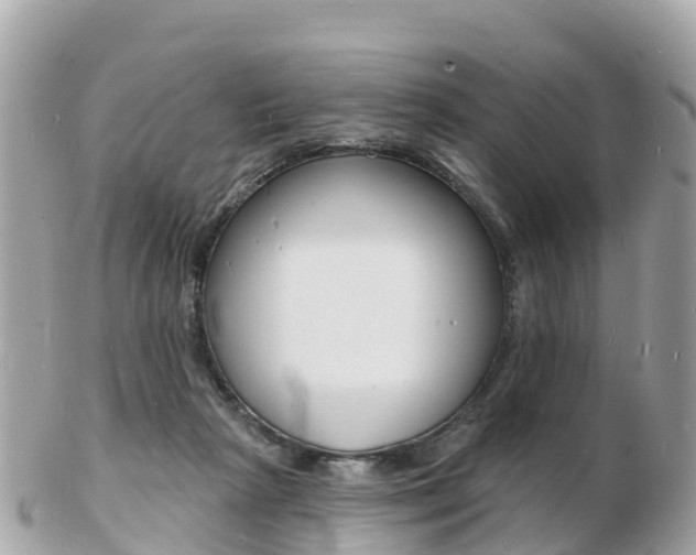 X0000103300265200808291137