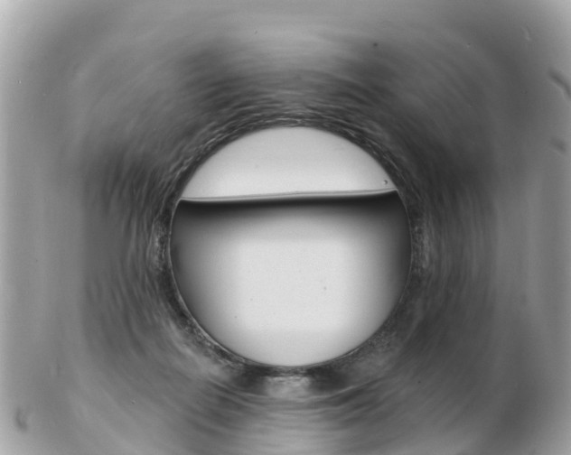 X0000103300266200808291137