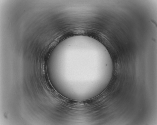 X0000103300267200808291137