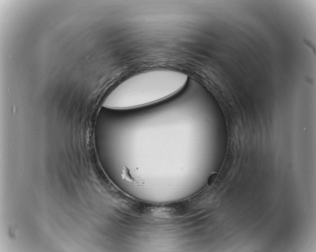 X0000103300268200808291137