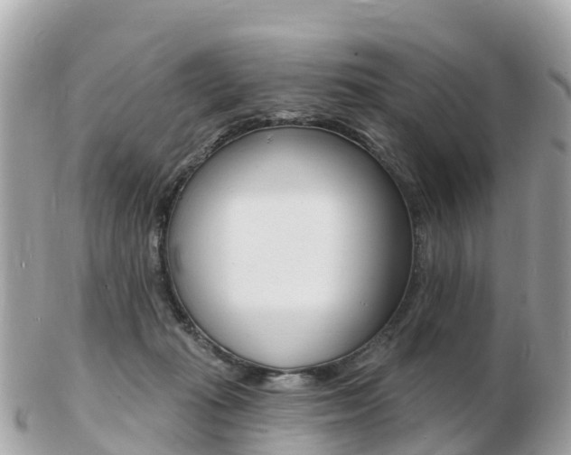X0000103300269200808291137