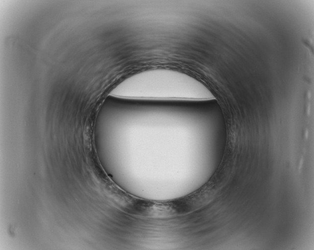 X0000103300270200808291137