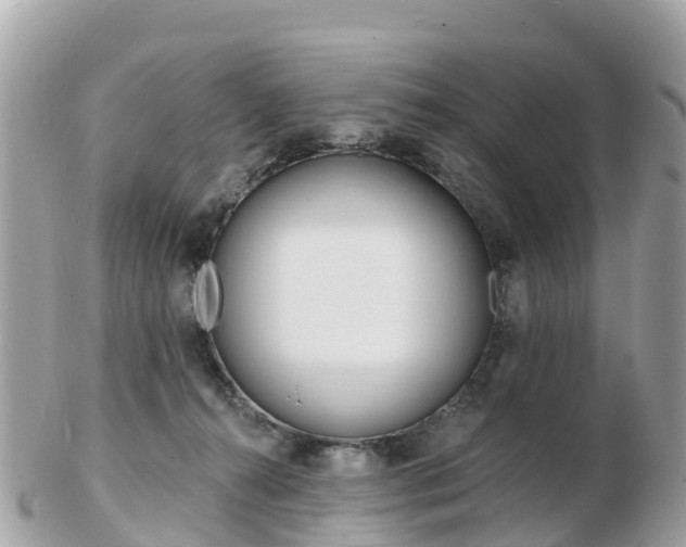 X0000103300272200808291137