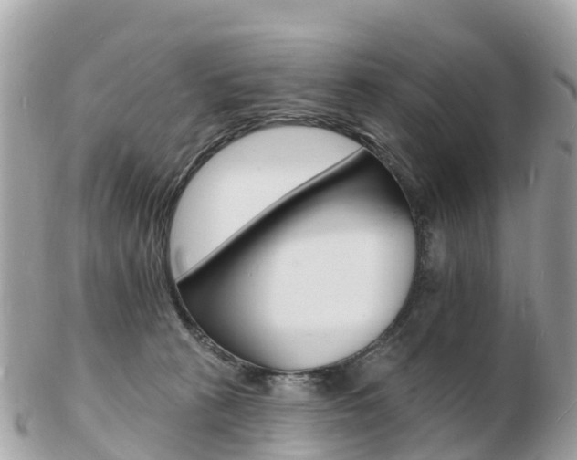 X0000103300273200808291137