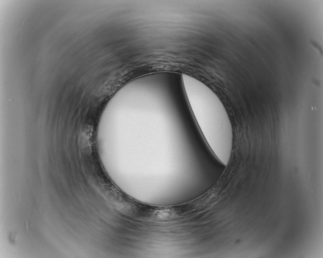 X0000103300275200808291137