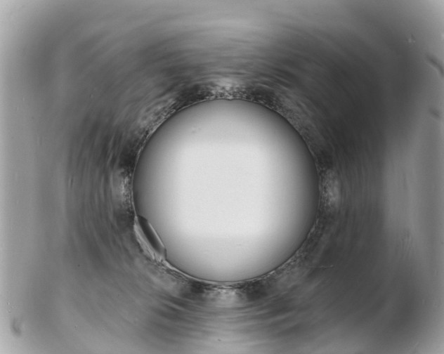 X0000103300276200808291137