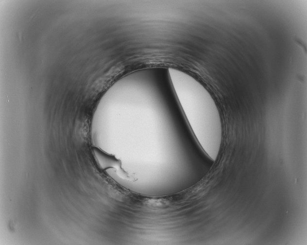 X0000103300277200808291137