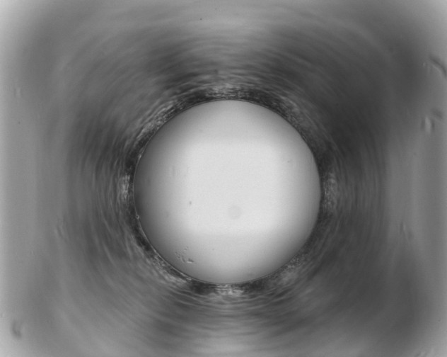 X0000103300278200808291137