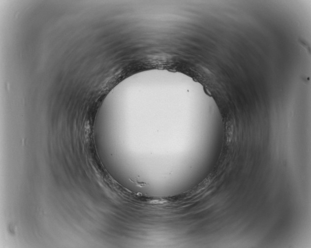 X0000103300279200808291137