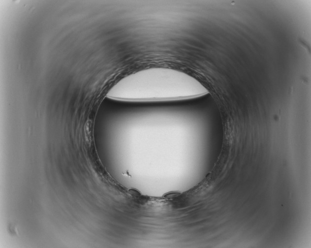 X0000103300280200808291137