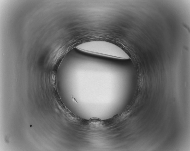 X0000103300281200808291137