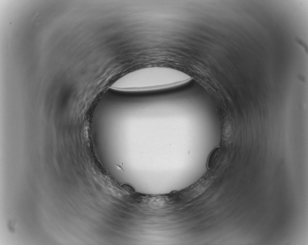 X0000103300282200808291137