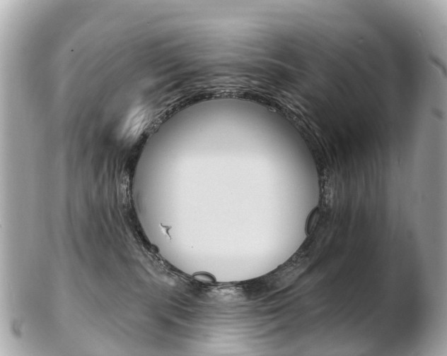 X0000103300283200808291137