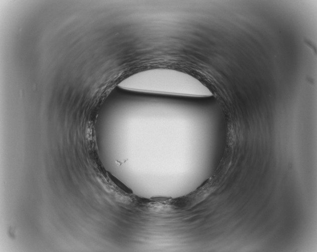 X0000103300284200808291137