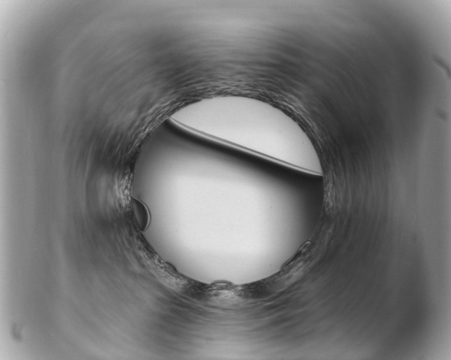 X0000103300285200808291137