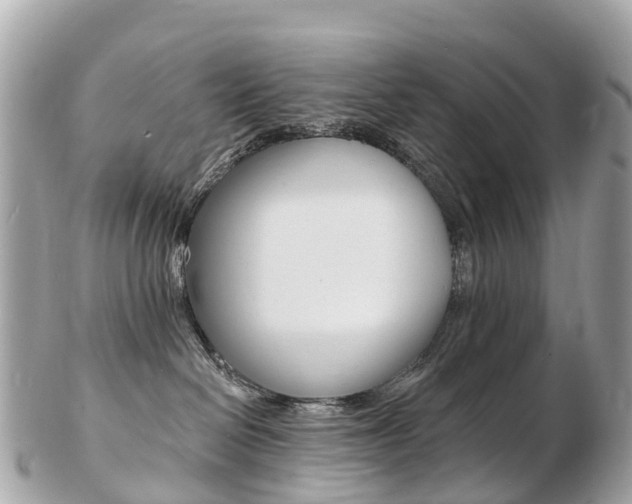 X0000103300286200808291137