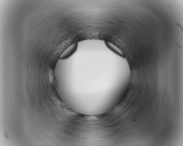 X0000103300287200808291137