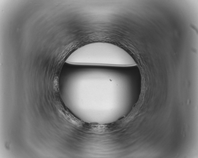 X0000103300288200808291137