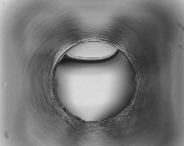 X0000103300289200808291137
