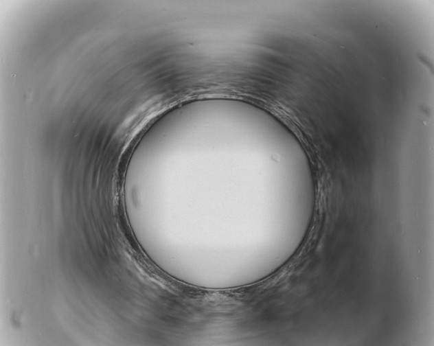 X0000103300290200808291137