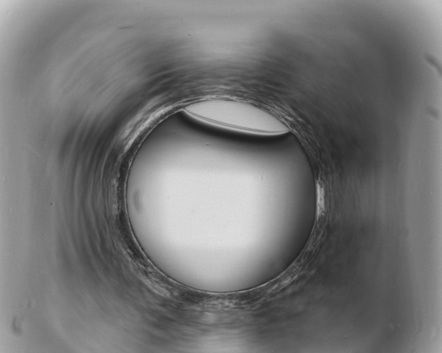 X0000103300291200808291137