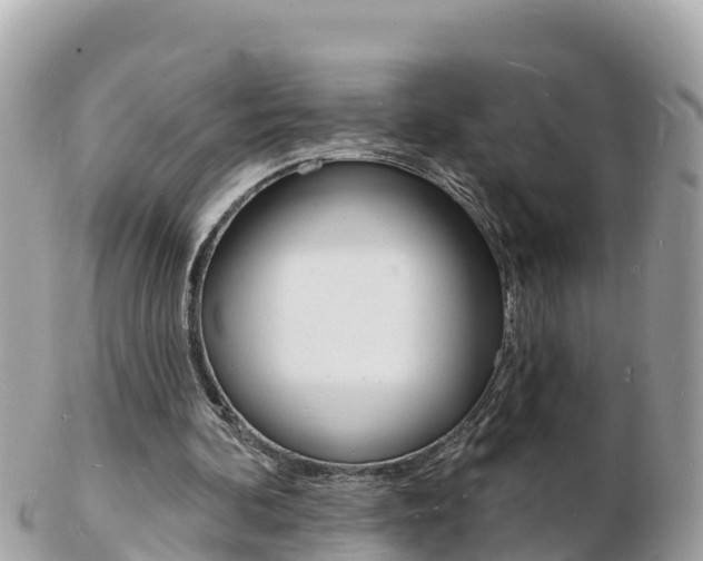 X0000103300292200808291137