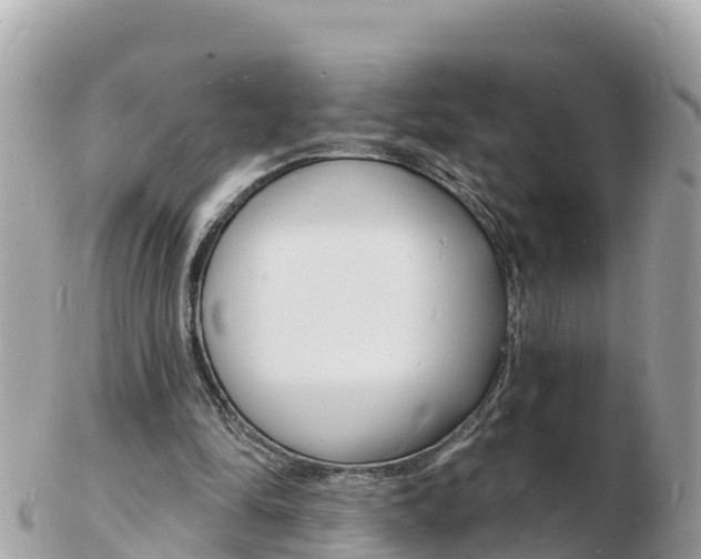 X0000103300294200808291137