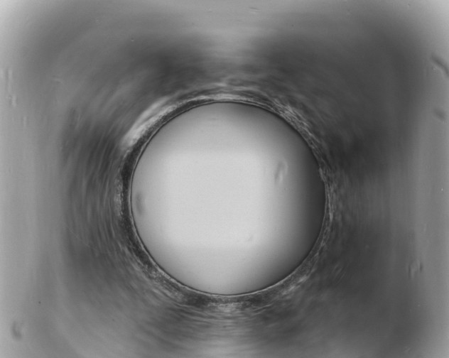 X0000103300295200808291137