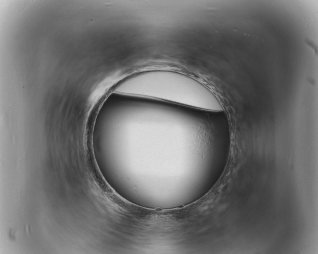 X0000103300296200808291137
