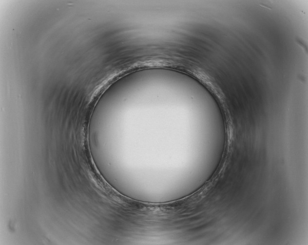 X0000103300297200808291137