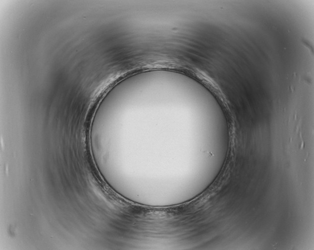 X0000103300298200808291136