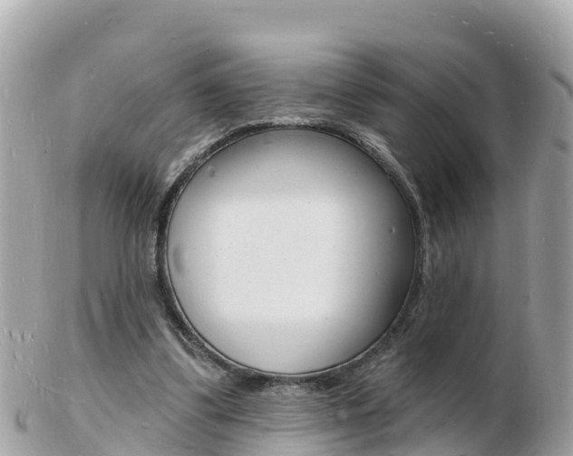 X0000103300299200808291136