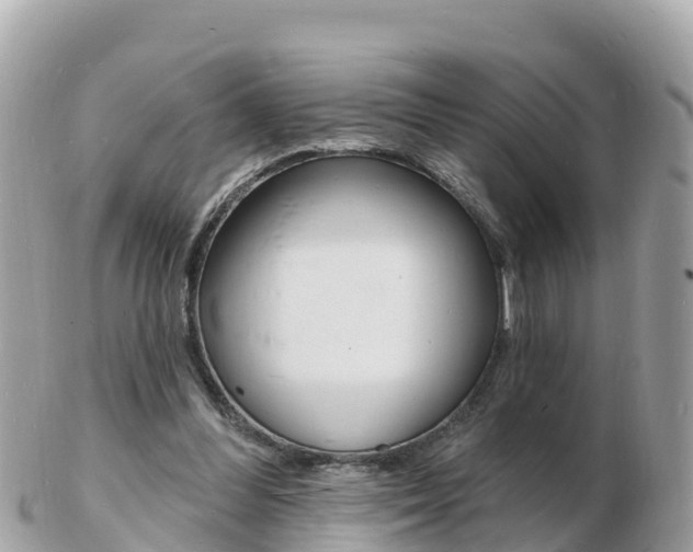 X0000103300300200808291136