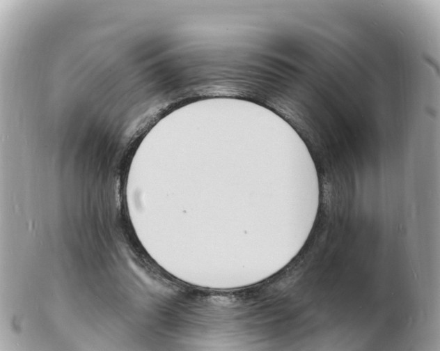 X0000103300302200808291136