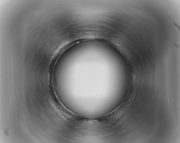 X0000103300304200808291136
