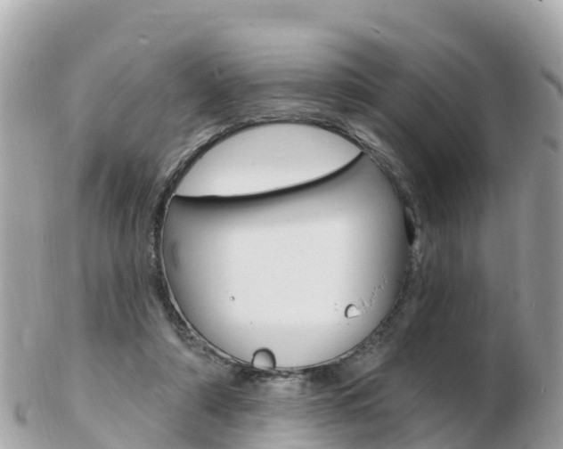 X0000103300306200808291136