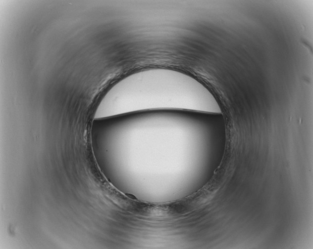 X0000103300308200808291136
