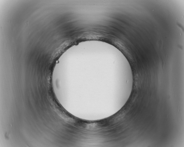 X0000103300309200808291136