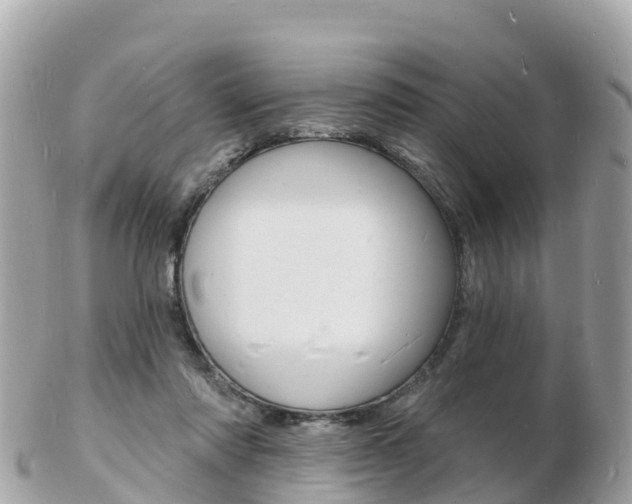 X0000103300310200808291136