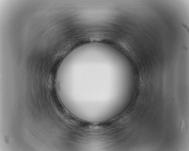X0000103300311200808291136