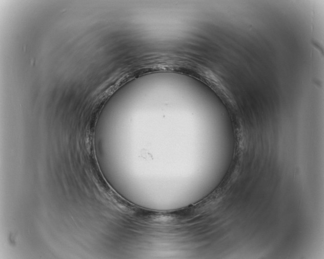 X0000103300313200808291136