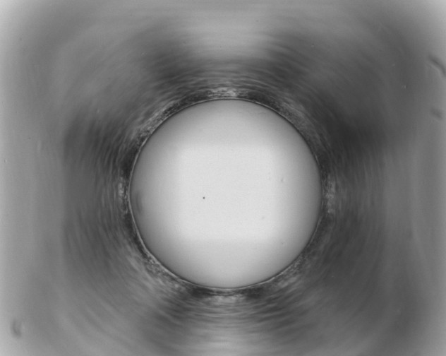 X0000103300314200808291136