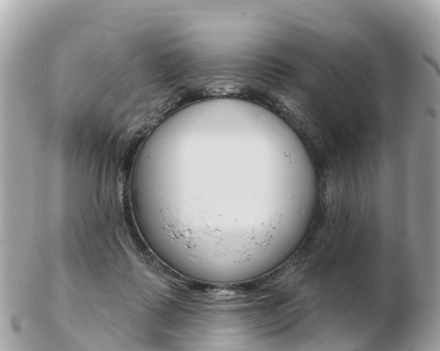 X0000103300315200808291136