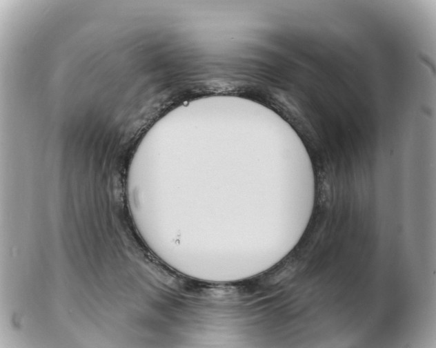 X0000103300317200808291136