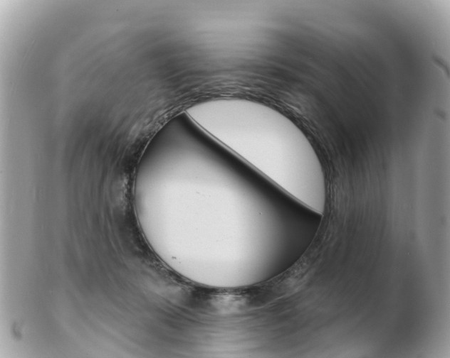 X0000103300319200808291136
