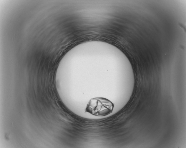 X0000103300320200808291136