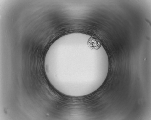 X0000103300323200808291136