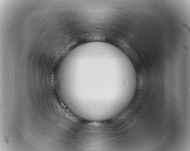 X0000103300326200808291136