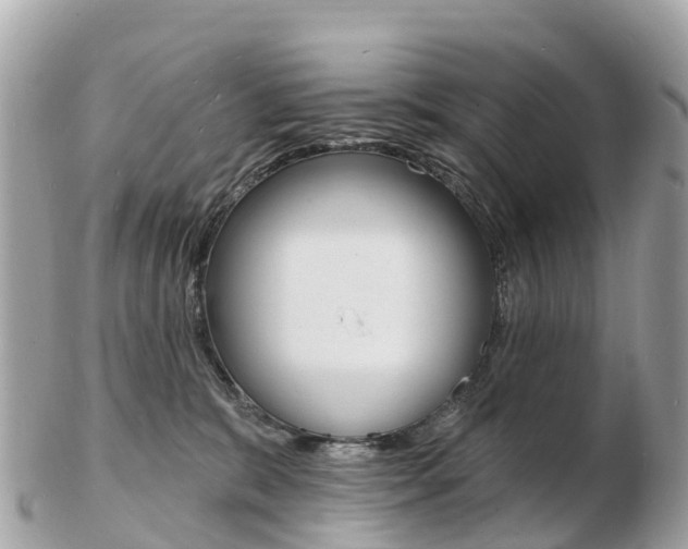 X0000103300327200808291136